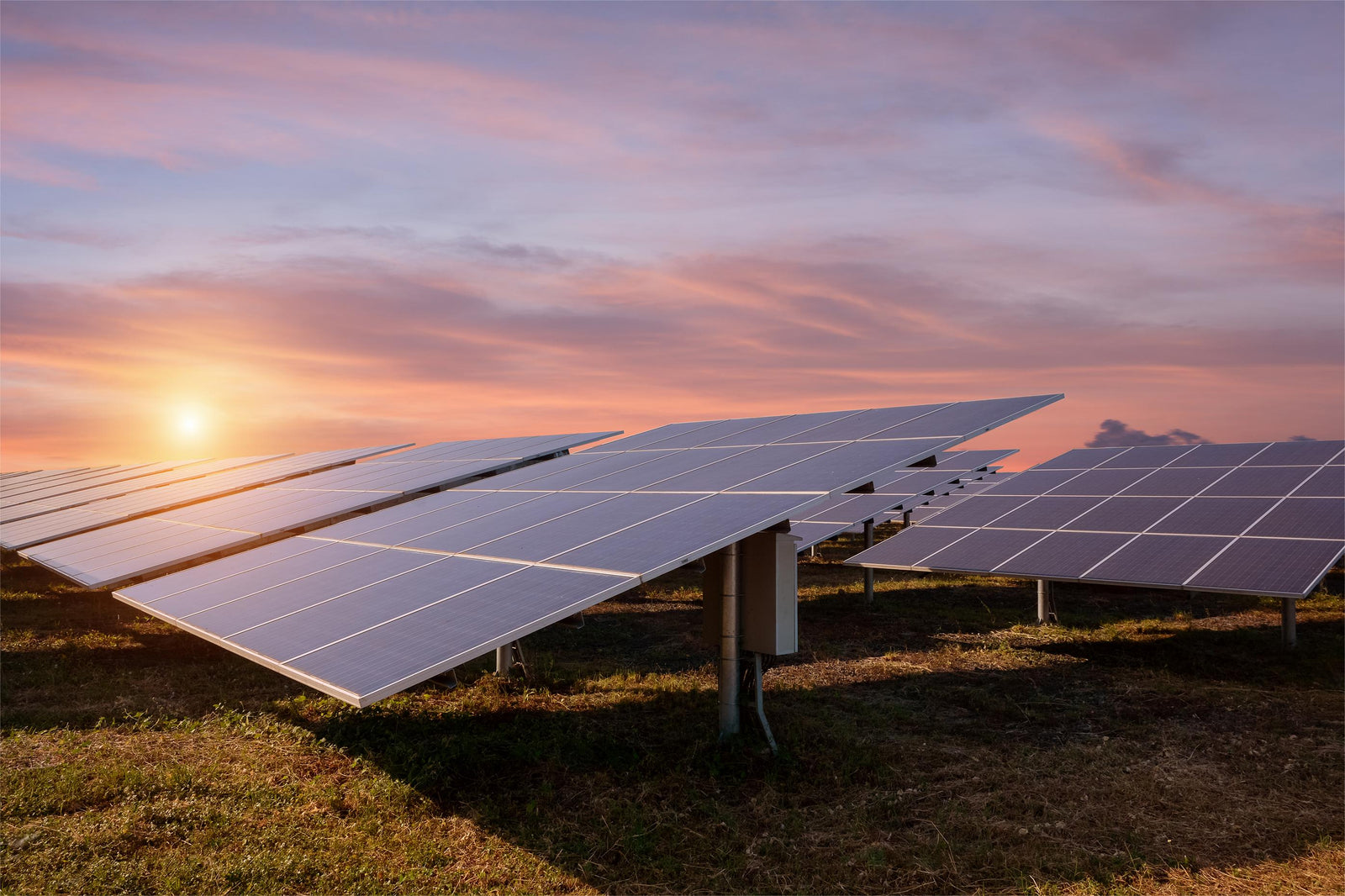 Comprehensive Guide to Solar Panel Types: Choosing the Right One for You