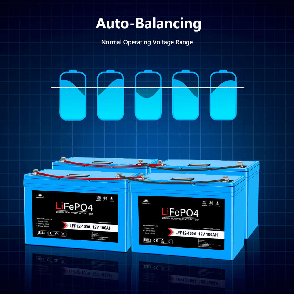 12V 100AH LiFePO4 Deep Cycle Lithium Battery / Bluetooth /Self-heating -  SunGoldPower