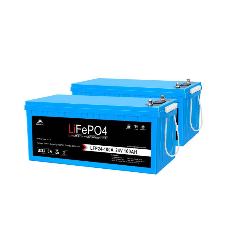 2 X 24V 100Ah LiFePo4 Deep Cycle Lithium Battery Bluetooth / Self-Heat -  SunGoldPower