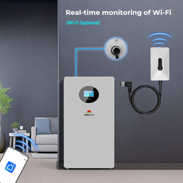 Powerwall X LITHIUM BATTERY 51.2V 200AH SG48200T